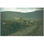 A Van next to Blea Moor