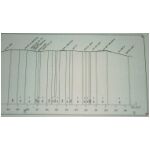 Right-hand side of profile